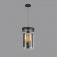 Artcraft AC10051BK - Pendant