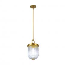 Artcraft AC12020BR - Pendant