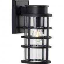 Progress P560168-031 - Port Royal Collection One-Light Small Wall Lantern with DURASHIELD