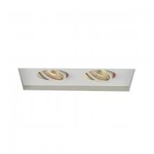 WAC US MT-216TL-WT - Low Voltage Multiple Invisible Two Light Trim