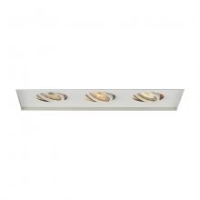 WAC US MT-316TL-WT - Low Voltage Multiple Invisible Two Light Trim