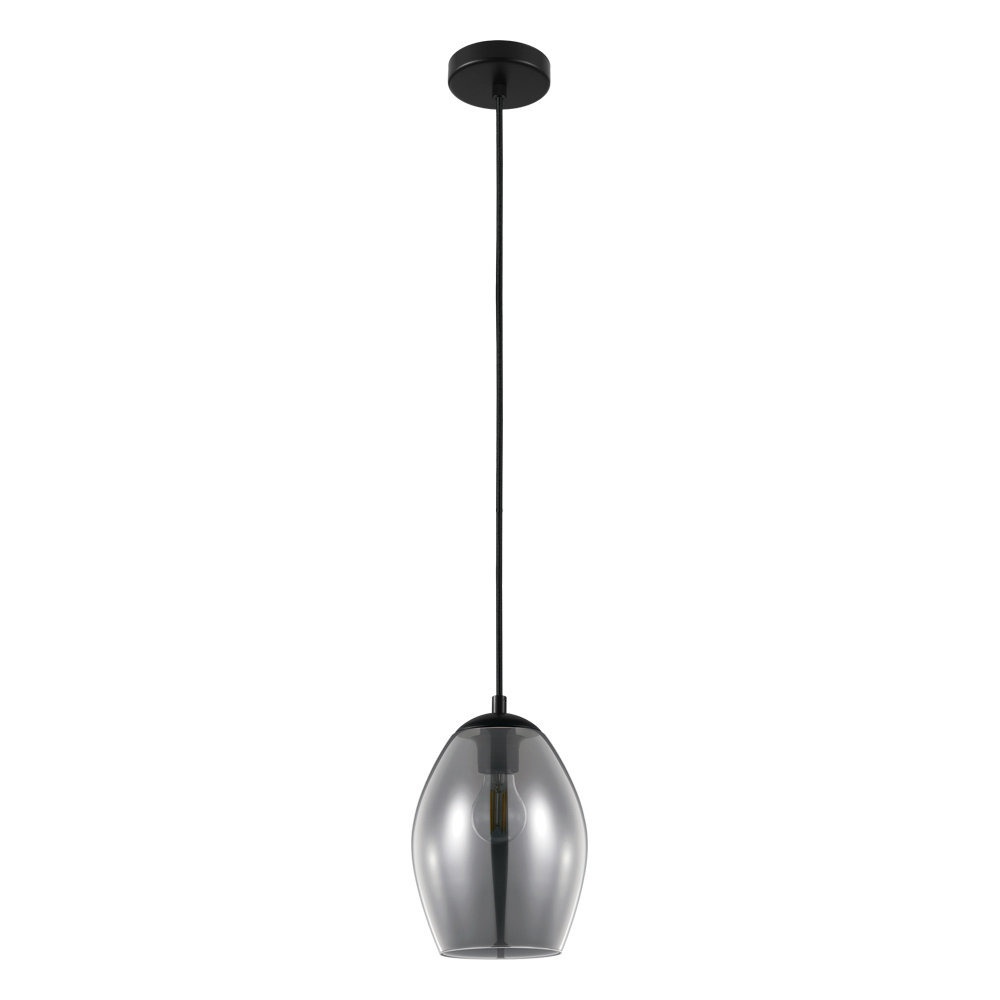 1L Pendant Light
