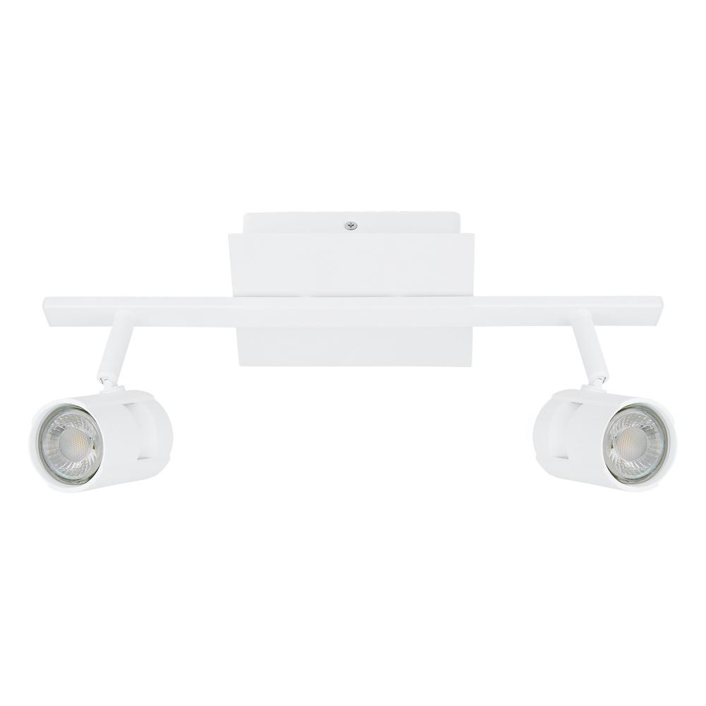 2L Track Light