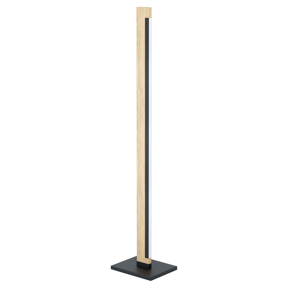 LED Floor Lamp