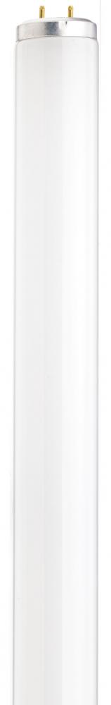 40 Watt; 48 Inch Fluorescent T12; 5000K; Daylight; Medium Bi-Pin Base