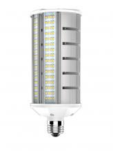 Satco Products Inc. S8929 - 40 Watt LED Hi-lumen omni-directional lamp for commercial fixture applications; 5000K; Medium base;