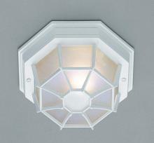 Trans Globe 40581 WH - Benkert 1-Light, Weblike Design, Enclosed Flush Mount Ceiling Lantern Light