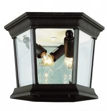 Trans Globe 4904 BG - San Marcos 3-Light Hexagon Glass and Metal, Flush Mount Outdoor Ceiling Lantern Light