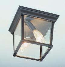Trans Globe 4905 BK - Ansel Collection Square 2-Light Simple Outdoor Flush Mount Ceiling Lantern Light