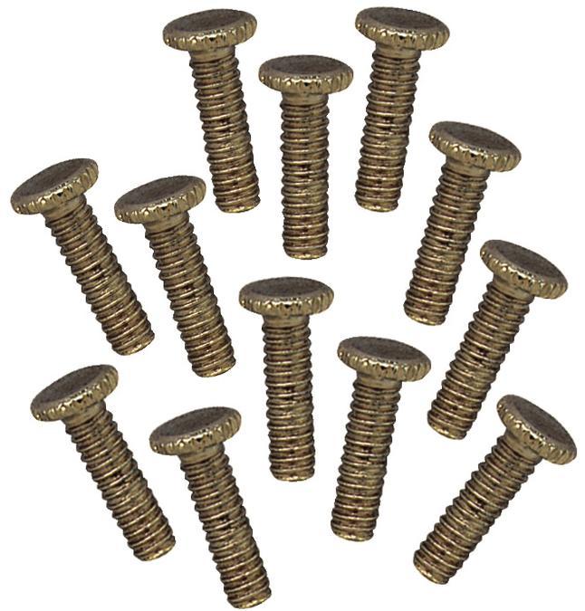 12 Fitter Screws Antique Brass Finish