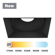 Eurofase 45360-022 - MIDWAY 2 REC SQ TMLS DN BK