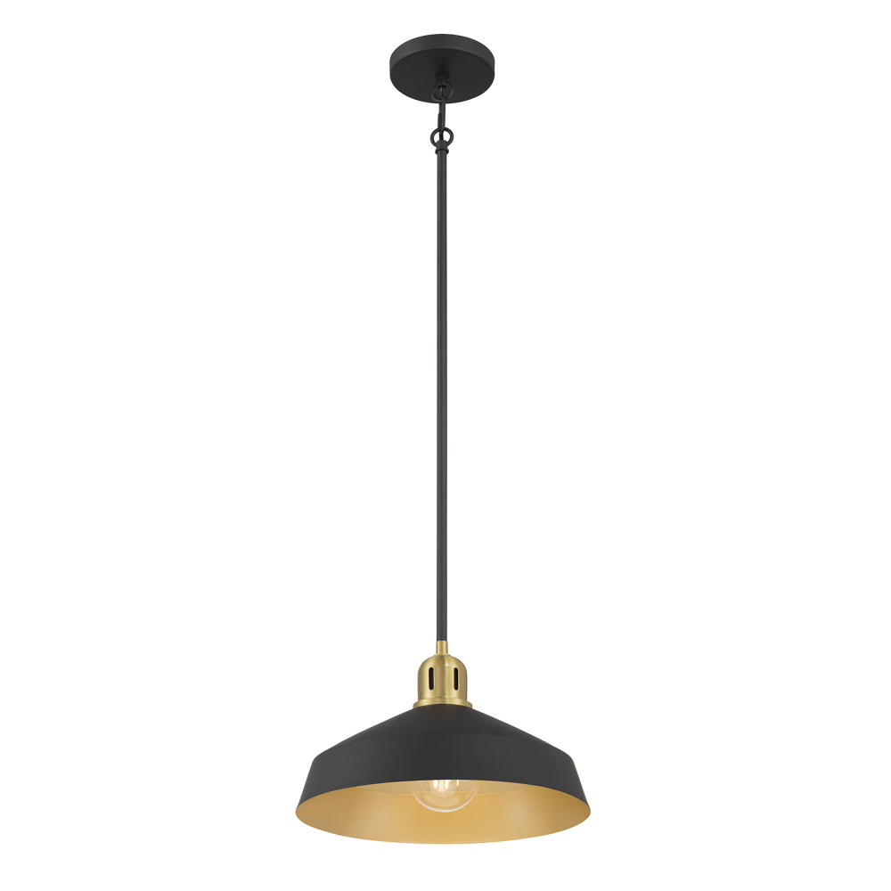 Axlen 12" Wide 1-Light Pendant