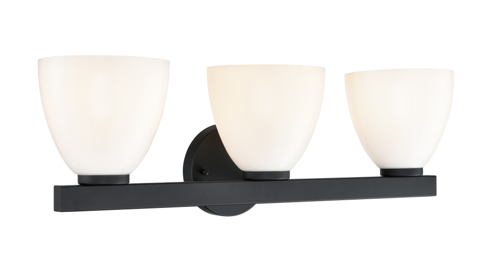 Apria 24" Wide 3-Light Vanity - Matte Black