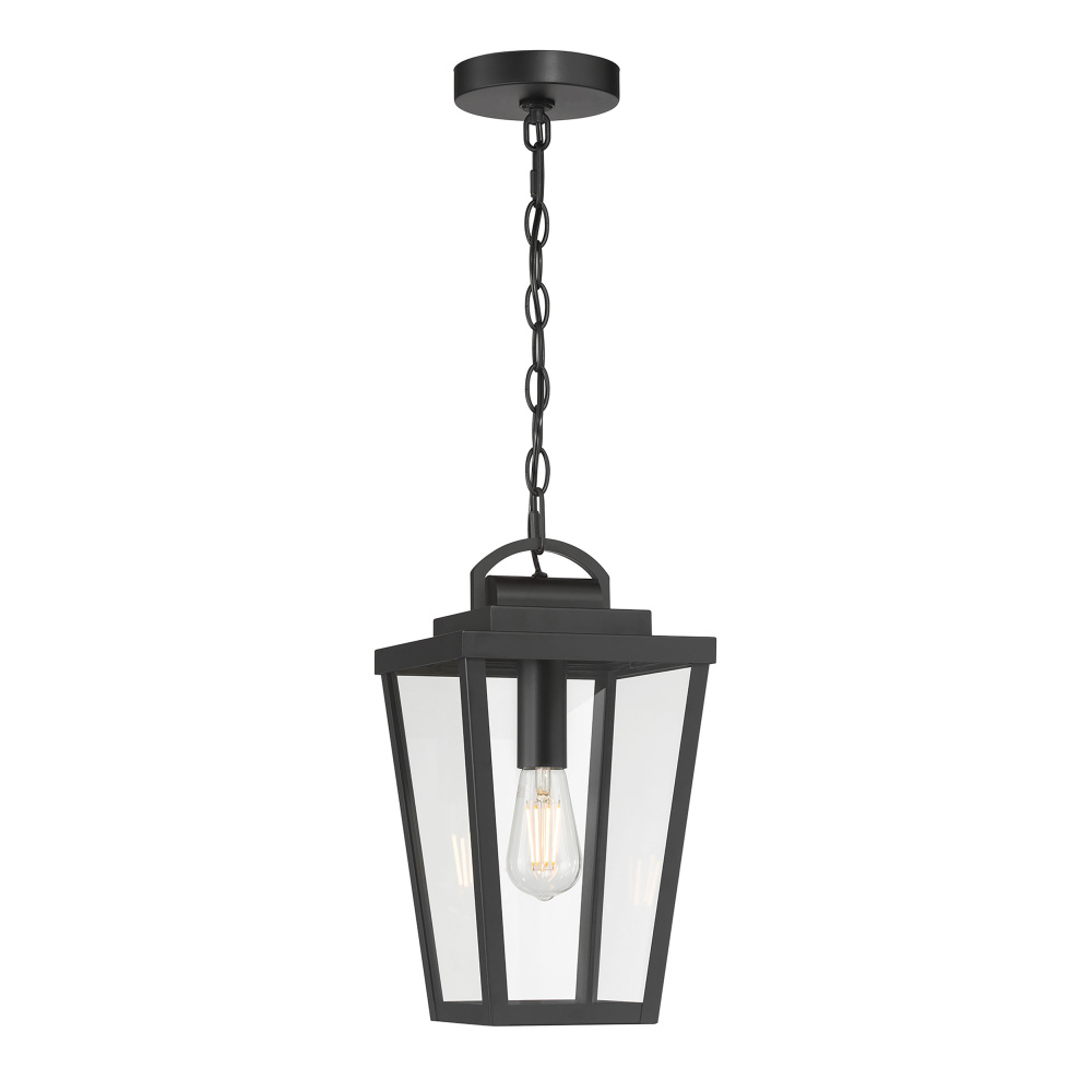 Brenwick  8" Wide 1-Light Outdoor Hanging Pendant