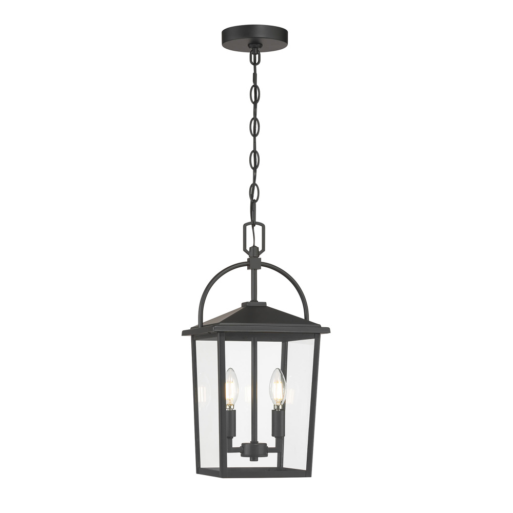 Strathden 9" Wide 2-Light Outdoor Hanging Lantern