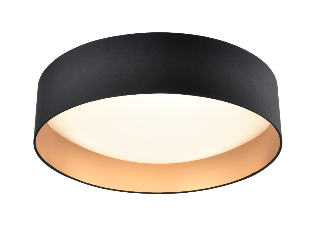 Rosata 20" Wide LED Flushmount Light - Black