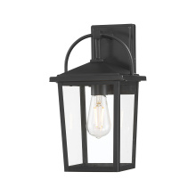 Millennium 66101-PBK - Strathden 13.5" High 1-Light Outdoor Lantern