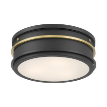 Millennium 90202-MB/VB - Stralara  12" Wide 2-Light Flush Mount