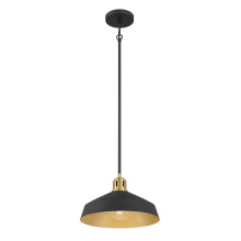 Millennium 9941-MB/VB - Axlen 12" Wide 1-Light Pendant