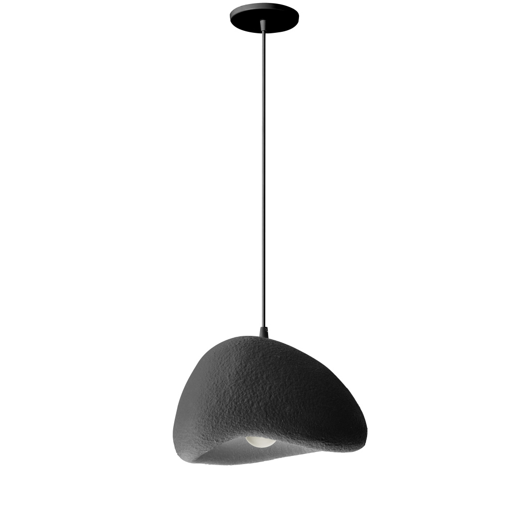 1 Light Pendant, Matte Black