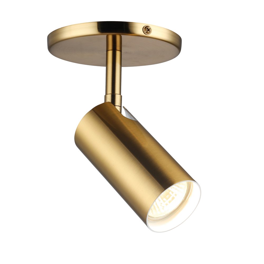 1 Light Aged Brass Halogen Spotlight