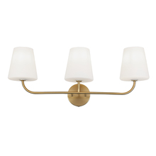 Dainolite ELN-213W-AGB-WH - 3 Light Incandescent Vanity Aged Brass with White Opal Glass