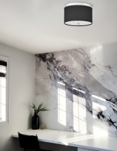 Dainolite FRD-122FH-PC-BK - 2LT Flush Mount, PC w/ BK Shade