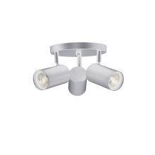 Dainolite TAY-123SF-SC - 3LT Spot Light, SC