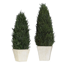 Uttermost 60140 - Uttermost Cypress Cone Topiaries, S/2
