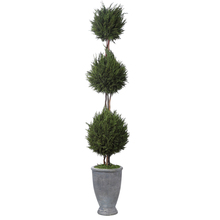 Uttermost 60172 - Uttermost Cypress Triple Topiary