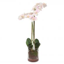 Uttermost 60196 - Uttermost Blush Pink And White Orchid