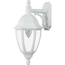 Wave Lighting S11VC-WH - EVERSTONE WALL LANTERN