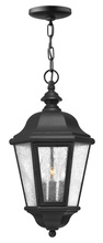 Hinkley 1672BK - Medium Hanging Lantern