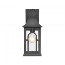 ELK Home 89602/1 - Triumph 14.5'' High 1-Light Outdoor Sconce - Textured Black