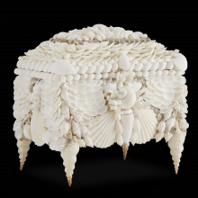 Currey 1200-0612 - Boardwalk White Shell Jewelry Box
