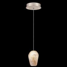 Fine Art Handcrafted Lighting 852240-27LD - Natural Inspirations 5.5" Round Drop Light